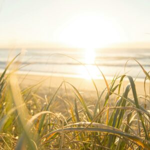 Pack  " Soleil levant"- 5 formations - 3 réflexologie + 2 relaxation - 40%