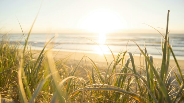 Pack " Soleil levant"- 5 formations - 3 réflexologie + 2 relaxation - 40%